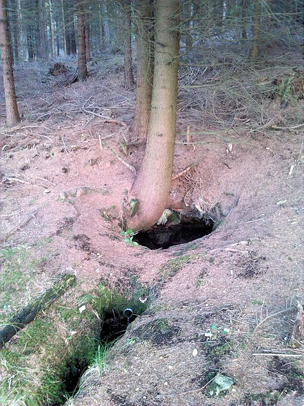 studánka Pod Zadní horou (7580) - říjen 2013