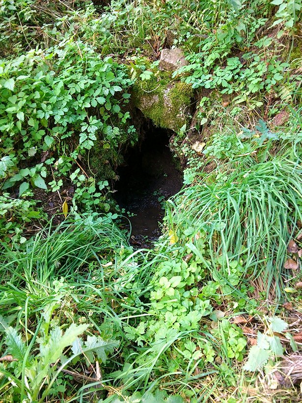studánka Ocmanická (7586) - říjen 2013