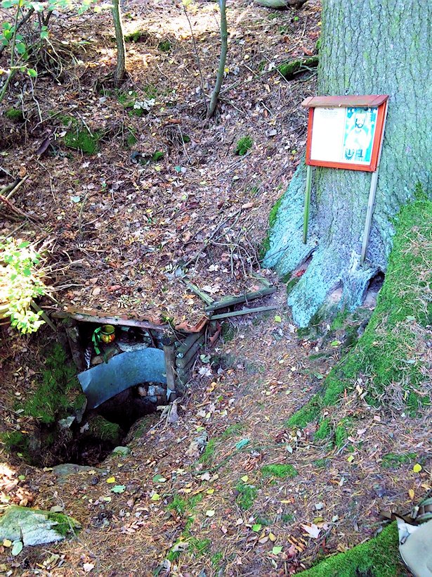 studánka bez jména (7595) - říjen 2013