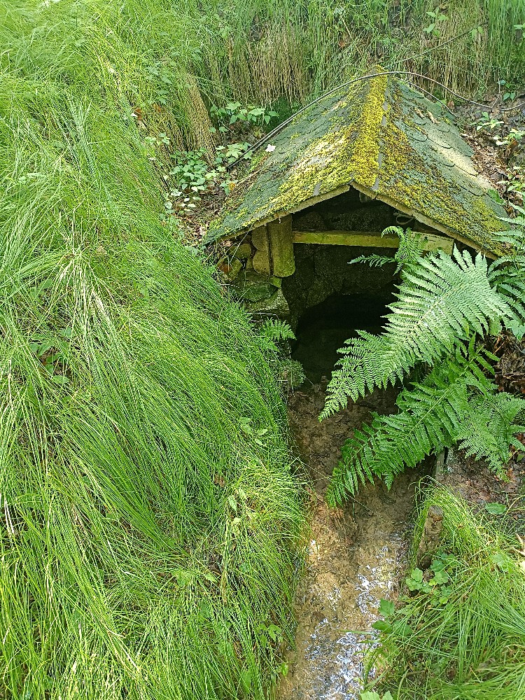 studánka U Kaderovny (7615) - červen 2024
