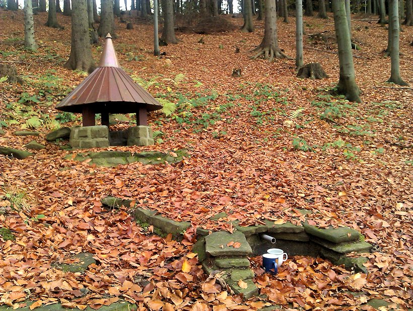 studánka V Bukovém háji (7647) - říjen 2013