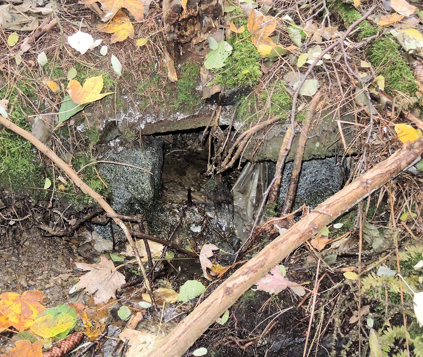 studánka Chatařská 3 (7662) - říjen 2013