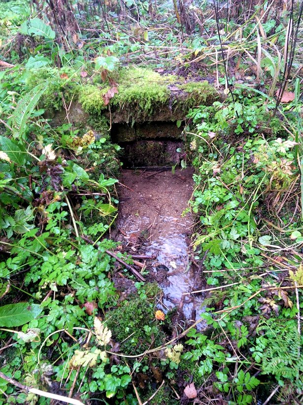 studánka Kočovka (7666) - říjen 2013