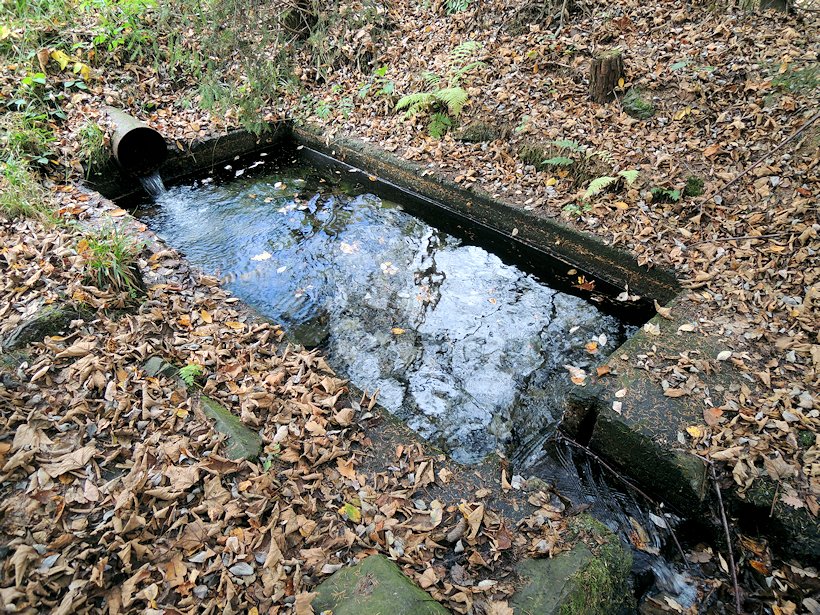 jiný vodní zdroj Studánka u Barabu (7679) - říjen 2013