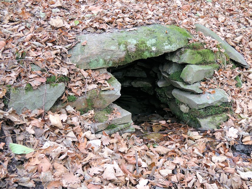 studánka bez jména (7702) - listopad 2013