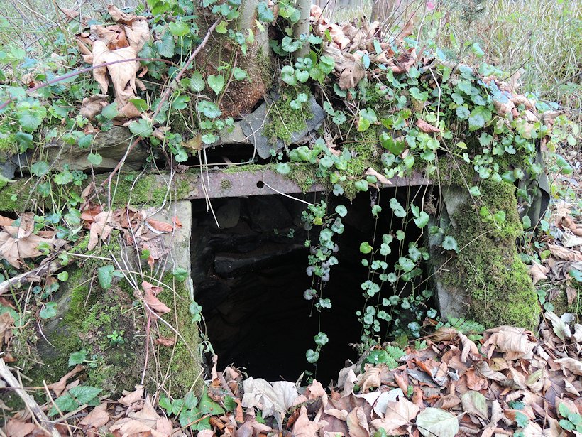 studánka bez jména (7717) - listopad 2013