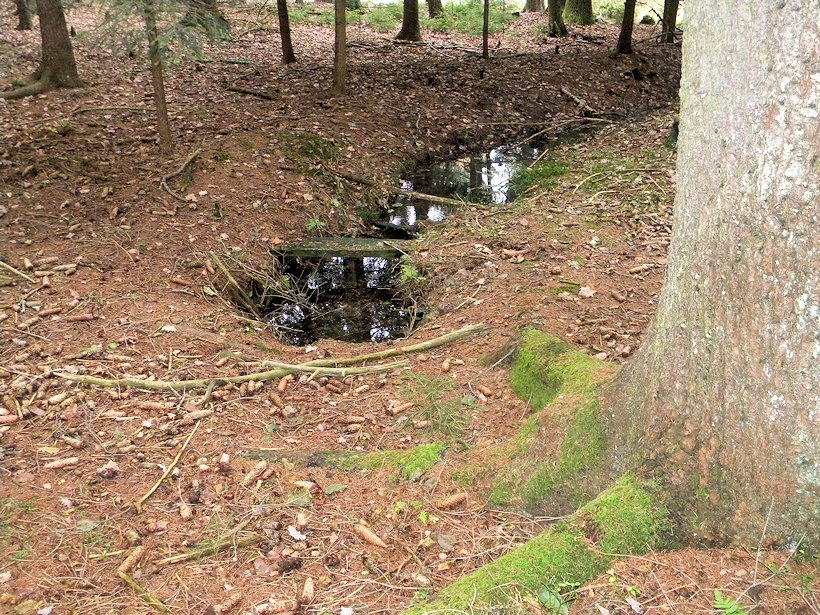 studánka bez jména (7726) - listopad 2013