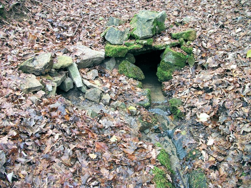 Dvojstudánka (7749) - listopad 2013