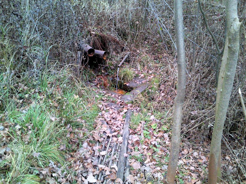 studánka bez jména (7751) - listopad 2013
