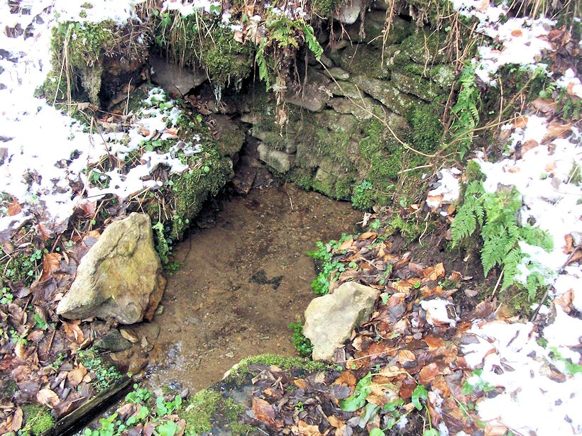 studánka Vogelsang (7755) - listopad 2013