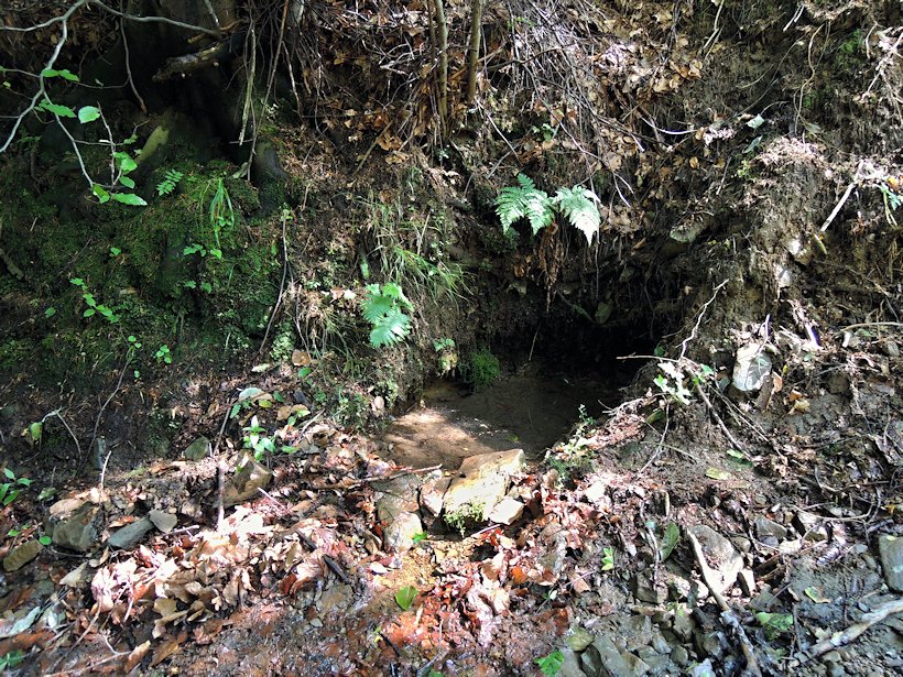 studánka bez jména (7758) - prosinec 2013