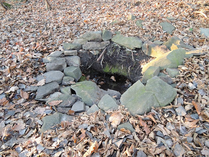 studánka bez jména (7759) - prosinec 2013