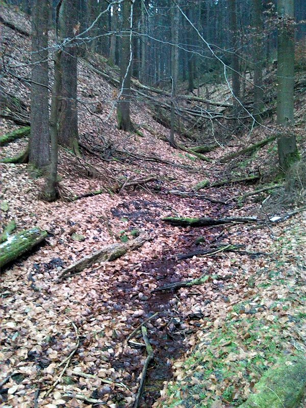 pramen Nad Hájovnou 2 (7763) - prosinec 2013
