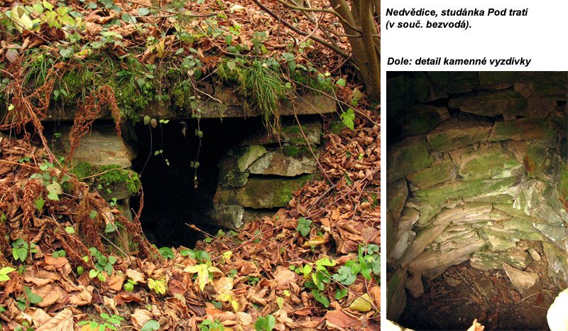 studánka bez jména (7779) - prosinec 2013