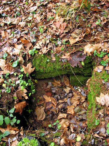 Italská studánka (7780) - prosinec 2013