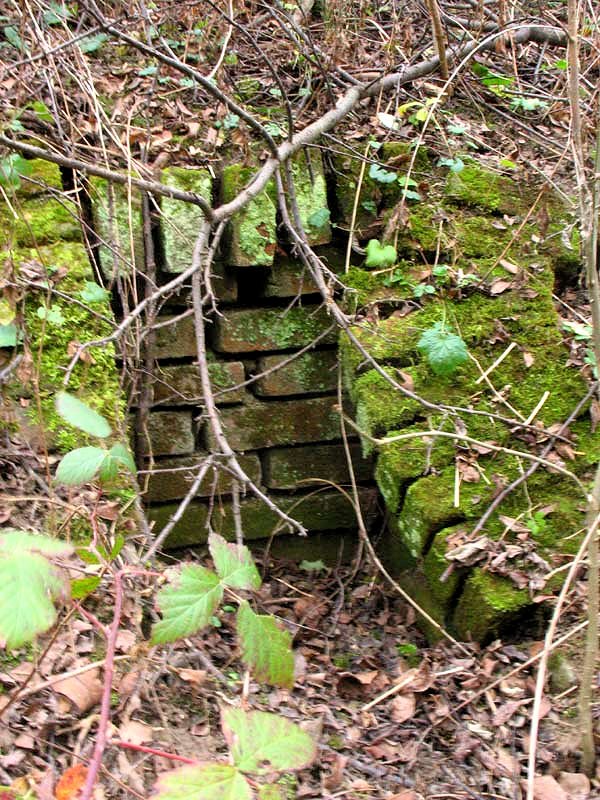 studánka Pod Kasany (7781) - prosinec 2013