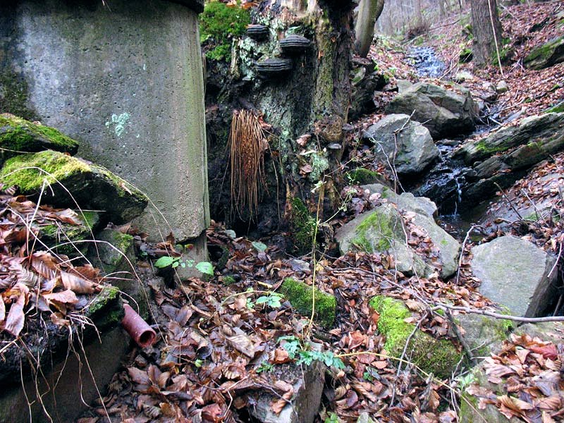 studánka Pod mezí (7782) - prosinec 2013