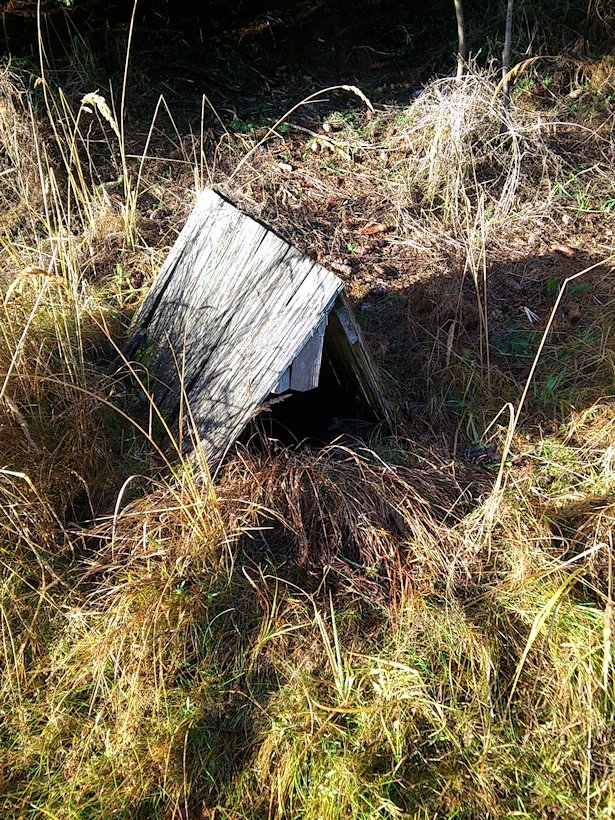 studánka Křivolačka (7798) - prosinec 2013
