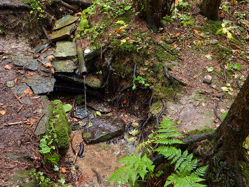 Trampská studánka (7801) - prosinec 2013