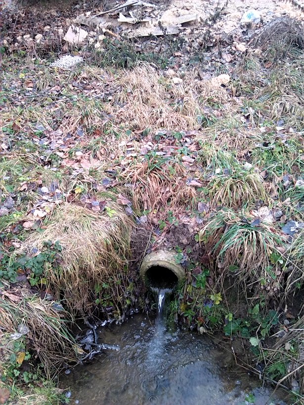 studánka U čísla 28 (7806) - prosinec 2013