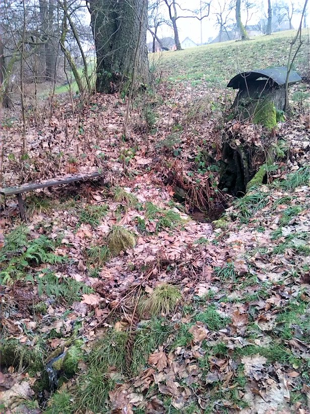 studánka U čísla 33 (7811) - prosinec 2013