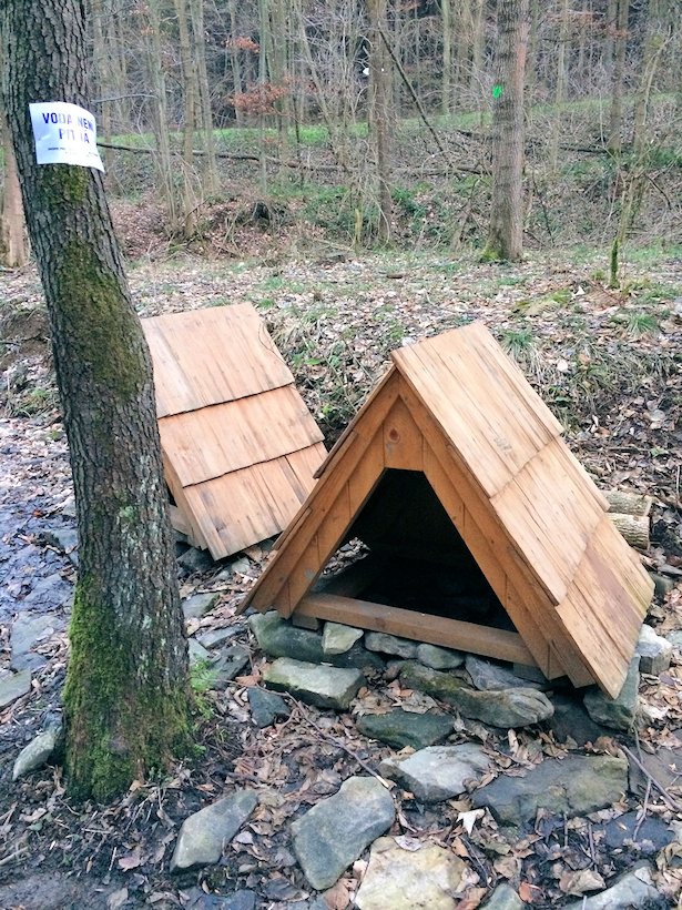 studánka Sirné prameny (7814) - prosinec 2013