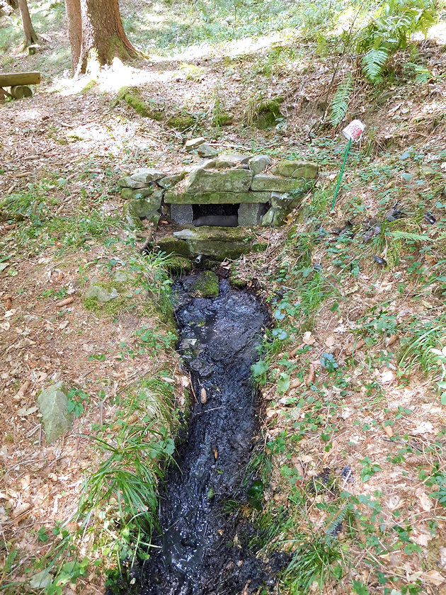 studánka Jurčákův pramen (7815) - červenec 2022