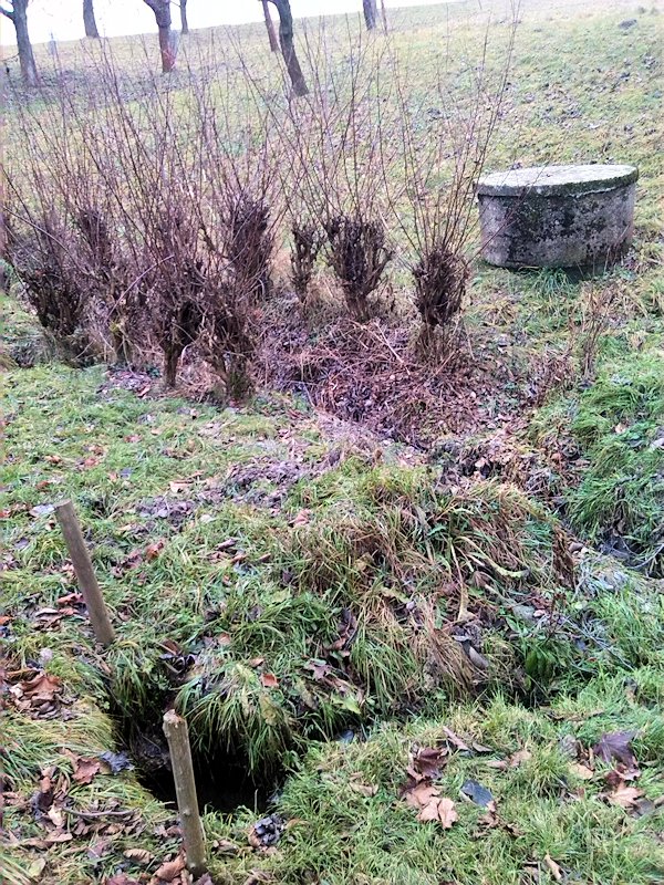 studánka U čísla 39 (7820) - leden 2014
