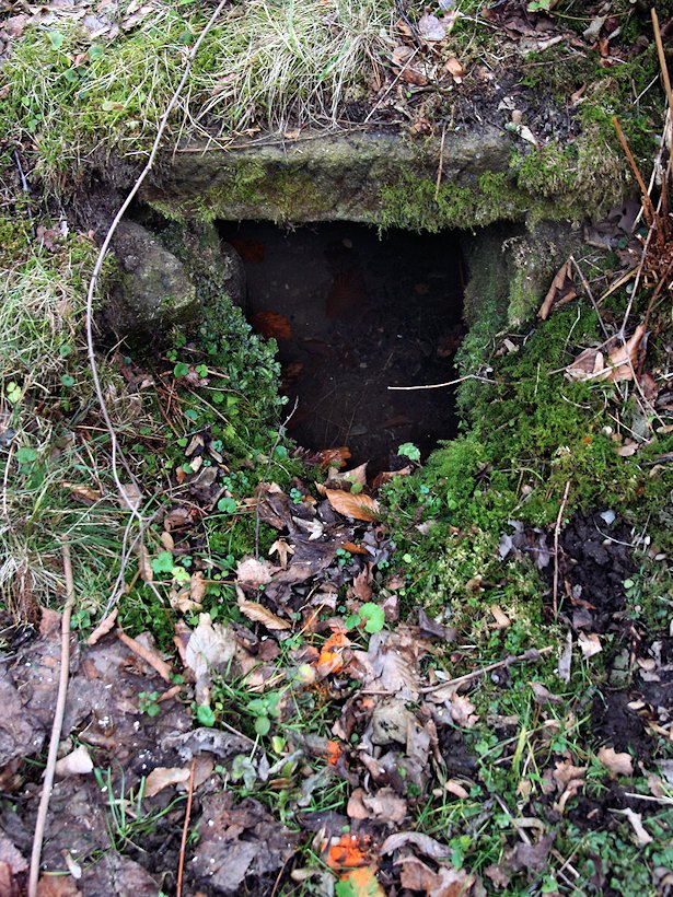 studánka Pod Březú (7835) - leden 2014