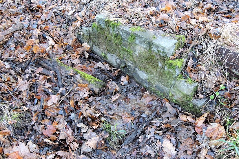 studánka Pod Hrabyňákem (7873) - leden 2014