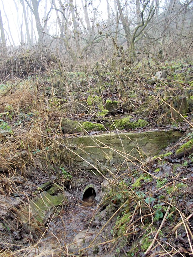 Harpagonova studánka (7874) - leden 2014