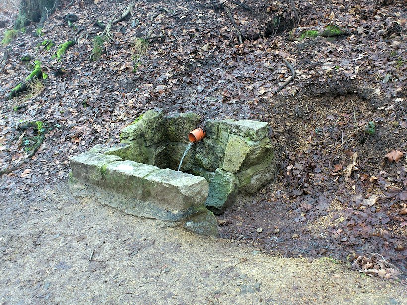 studánka bez jména (7877) - leden 2014