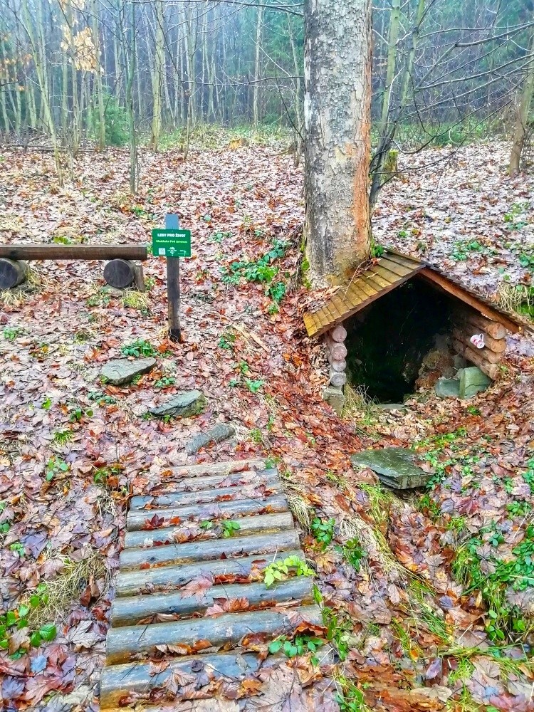 studánka Pod javorem (7892) - leden 2024