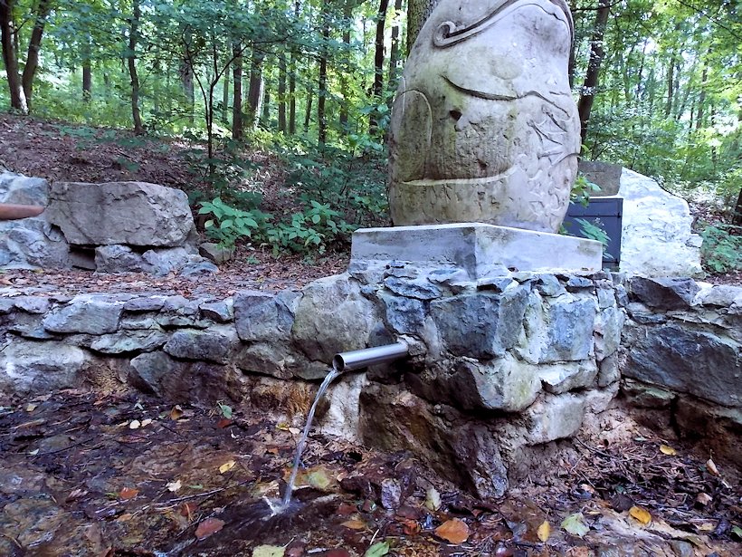 studánka Nad Němčickou hájenkou (7906) - leden 2014