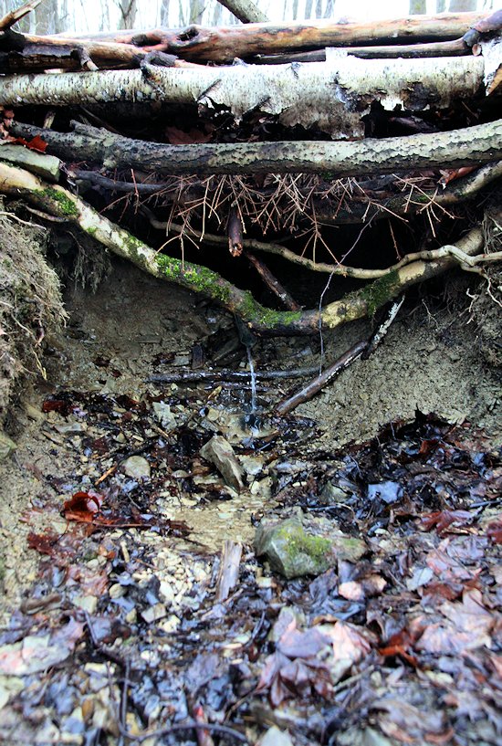 studánka Nad Sídlištěm (7907) - leden 2014