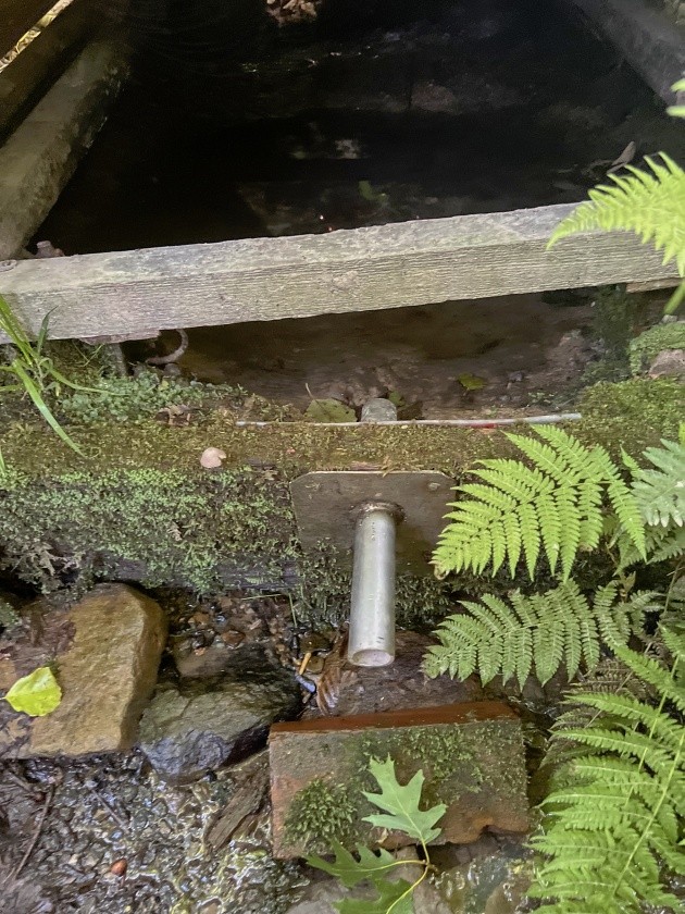 Bobrovnická studánka (7924) - datum neznámé