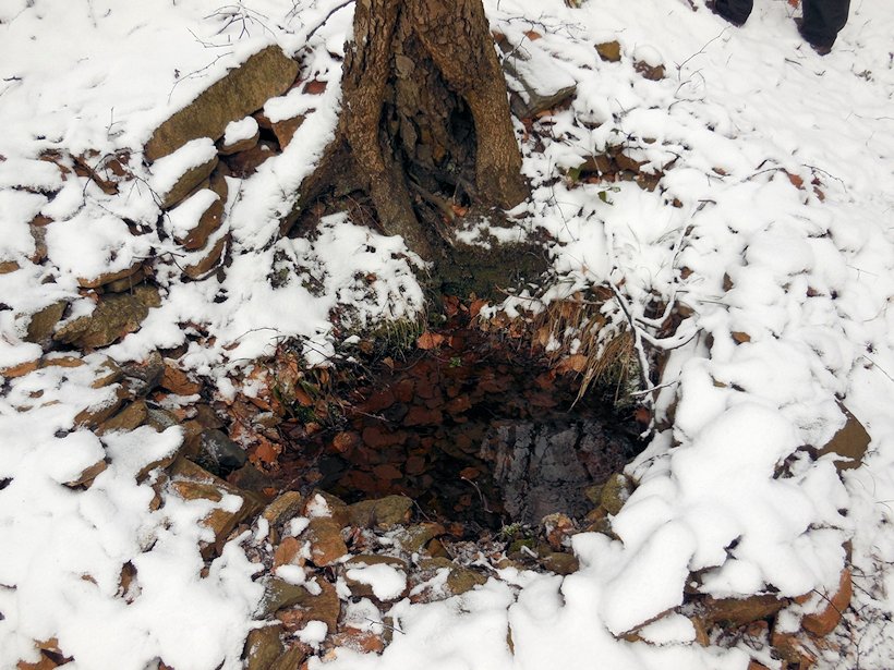 studánka Na Ústupkách (7929) - leden 2014