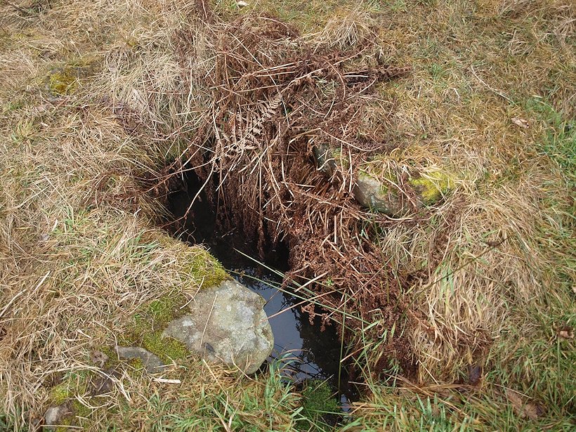 studánka Kroupnice (7934) - leden 2014