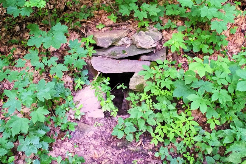 studánka bez jména (7948) - únor 2014