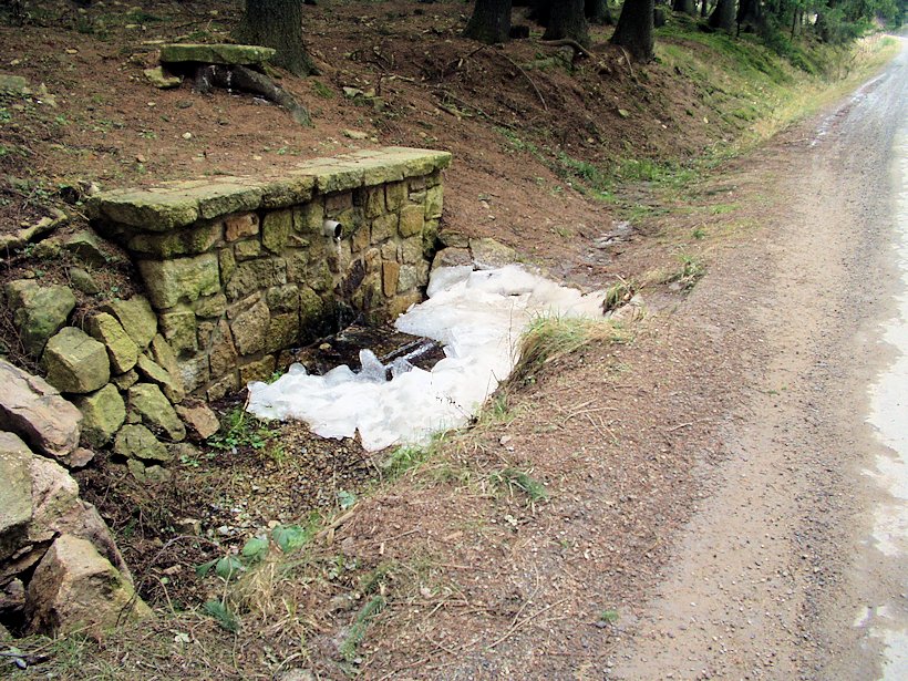 studánka Pod Zdeňkovem (7995) - únor 2014