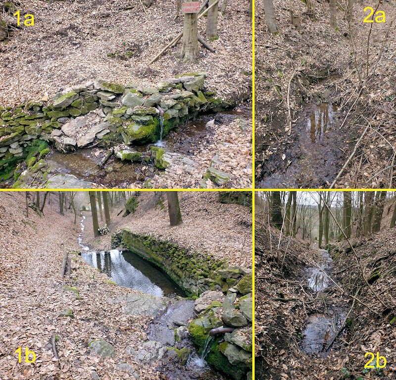 pramen Šanův kout (8006) - únor 2014