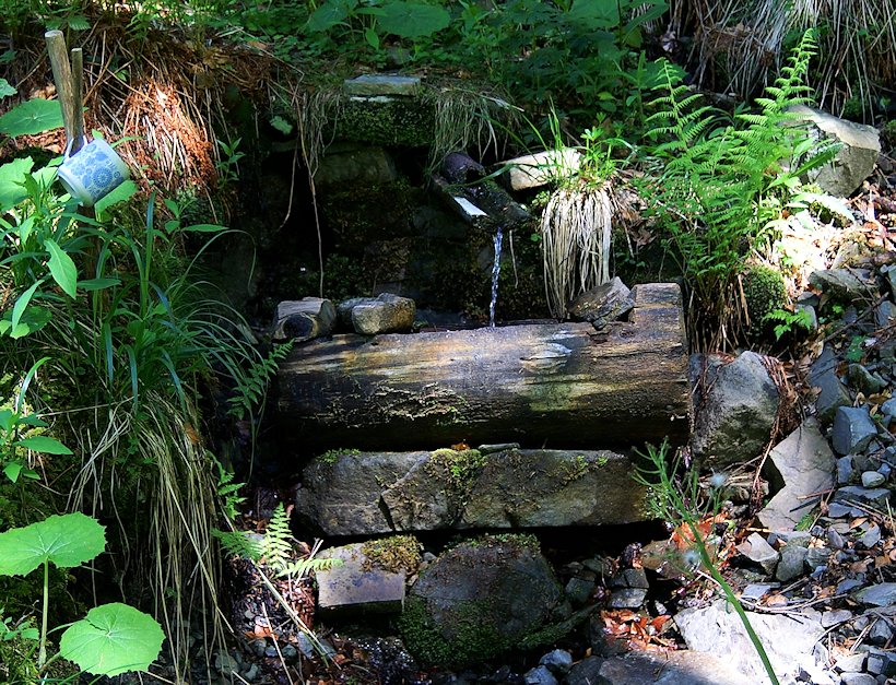 studánka U Lomu (8011) - únor 2014
