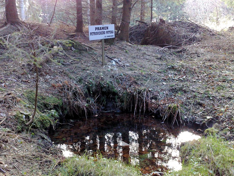 pramen Petrovického potoka (8066) - březen 2014
