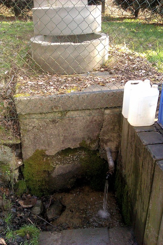 studánka V Letkově (8076) - leden 2026