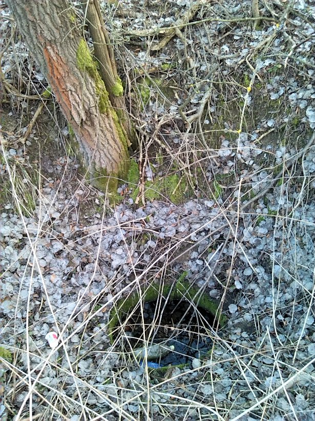 studánka U podkovy (8085) - březen 2014