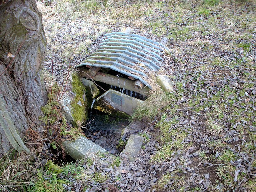 studánka U Loužku (8087) - březen 2014