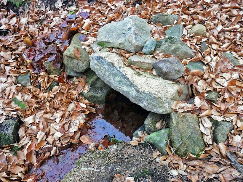 studánka U potoka (8100) - březen 2014
