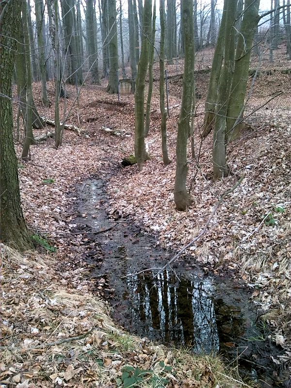 pramen Za hájovnou (8108) - březen 2014