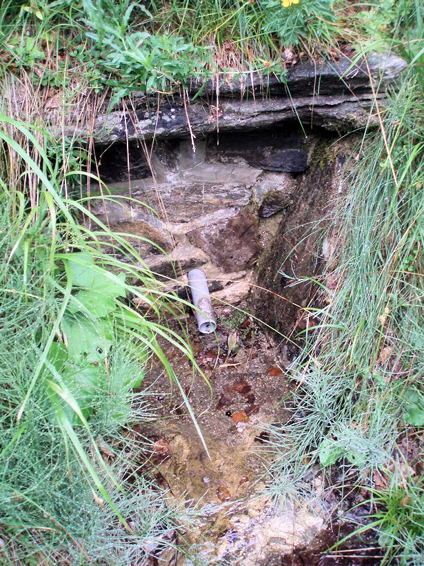 studánka Pod Videlským sedlem (8117) - březen 2014