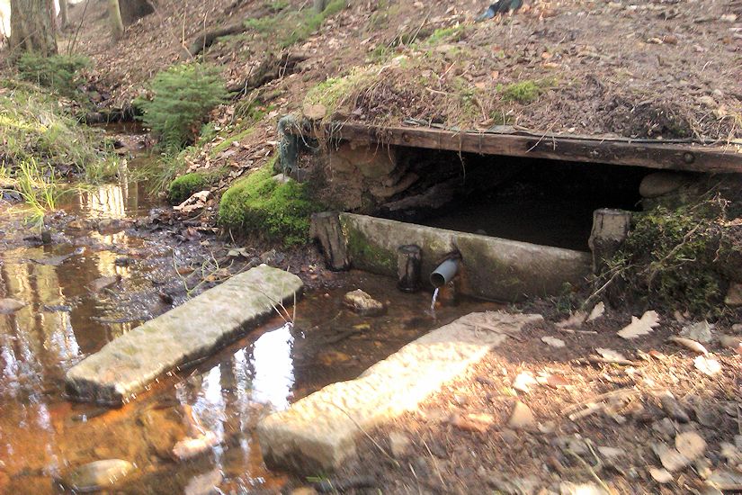 studánka U Obořické hájovny (8118) - březen 2014